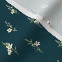  Medium Australian Native Geraldton Wax White Flowers with Incubi Darkness Cyan Background