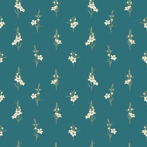  Medium Australian Native Geraldton Wax White Flowers with Whaling Waters Teal Background