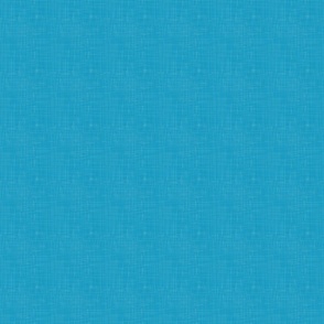 Vintage Pool Blue Shade - Texture N.001
