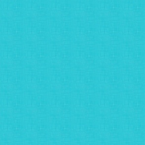 Vintage Turquoise Ocean Shade - Texture N.001