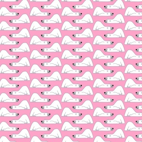 Cute Funny Polar Bears Small on Pink background