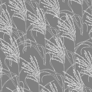 Silver grass in white on gray