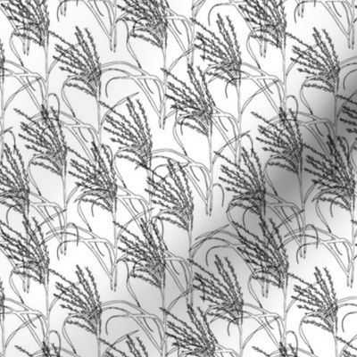 Silver grass in black and white. Small scale