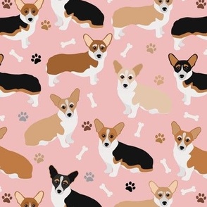 Corgi Dog Paws and Bones Pink