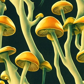 Mushrooms LARGE