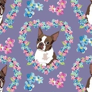 small print // Boston Terriers Pink and blue flower heart wreath  purple background