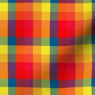 Vibrant Rainbow Gingham Check Plaid