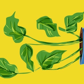 Elephant Ear House Plant Illustration 