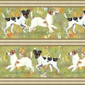 Smooth and Rough Jack Russell Terrier in Wildflower Field Stripe