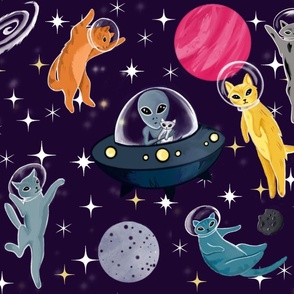 Cats in Space!