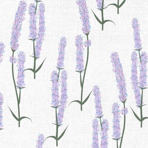 Summer Spike Flowers//Lavender