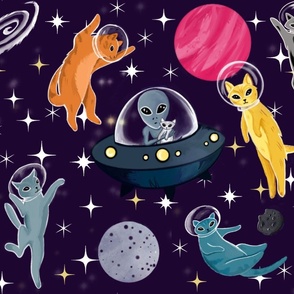Cats in Space!