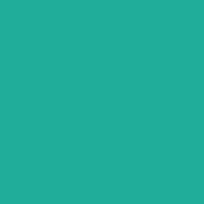 Solid Color Turquoise Hex Code  65ac9a