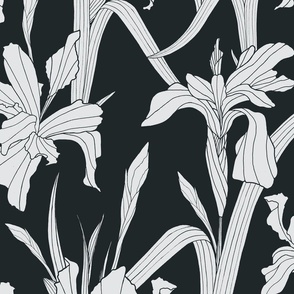 Iris Flowers - Black and white