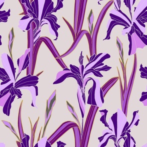 Iris Flower - Purple