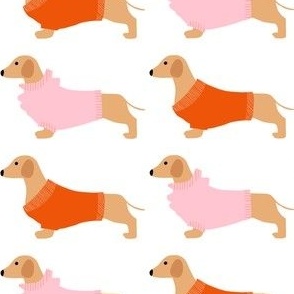 Dachshunds in pink and orange 