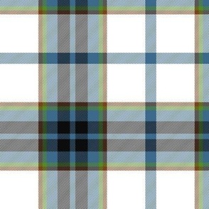 MacTavish of Dunardry 1845 tartan, 6" bright