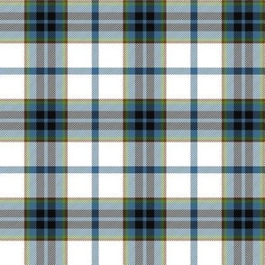 MacTavish of Dunardry 1845 tartan, 3" bright