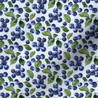Watercolor Blueberries on Pastel Blue Moire Texture (Medium)