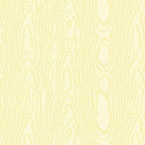 Moire Texture (Medium) - Buttercup Yellow  (TBS101A)