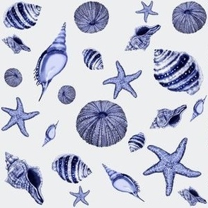 Blue and white seashells 
