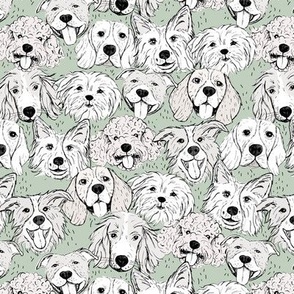 Dog friends - sweet freehand sketches style puppy faces border collie beagle poodle staffies and shih tzu boho style soft beige white on sage green