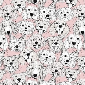 Dog friends - sweet freehand sketches style puppy faces border collie beagle poodle staffies and shih tzu boho style soft beige white on soft pink blush