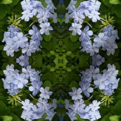 Blue Flower Wreath_0414