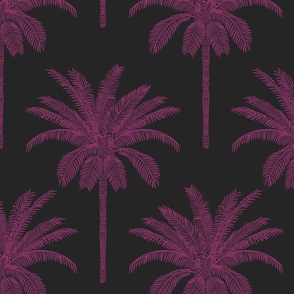 Palm - bright hot pink on charcoal black - medium
