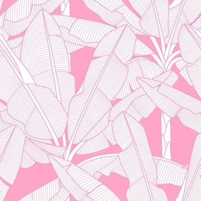 Banana Palms-Jumbo_White Leaves_Bg Pink