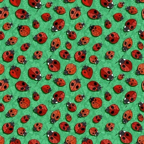 Ladybug Love (small scale)  
