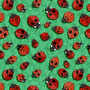 Ladybug Love  