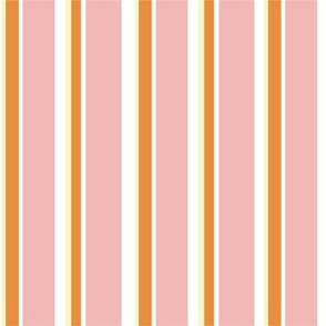 Blush Autumn Stripes Pattern
