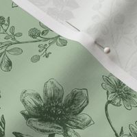 Vintage Floral Sage Green