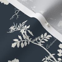 CONTEMPORARY BOTANICAL - LINEN ON NAVY