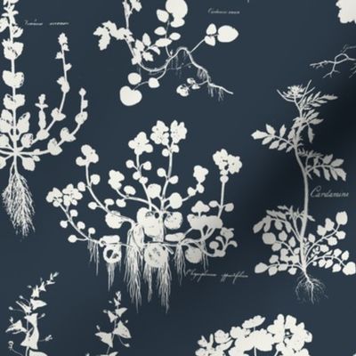 CONTEMPORARY BOTANICAL - LINEN ON NAVY