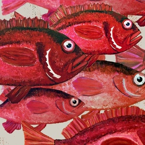 Custom - Red Snapper Fish in agreeable grey background
