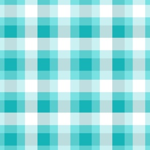 Turquoise plaid LG