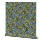African aloe in sage/blue large 