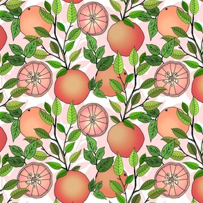 Grapefruit Grove (Light Pink and White) 