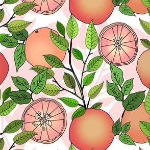 Grapefruit Grove (Light Pink and White large scale)  