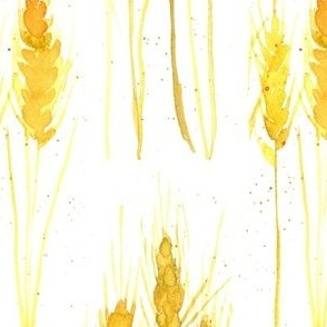 Golden Wheat