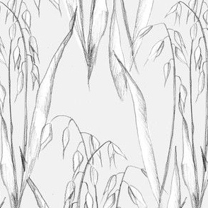 Grey Plant Oats Pencil