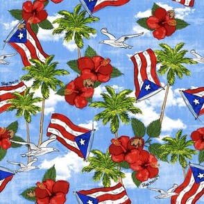 Puerto Rico Flag Scene