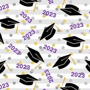 Tossed Graduation Caps with Purple 2023, Gold & Silver Confetti (Small Size)