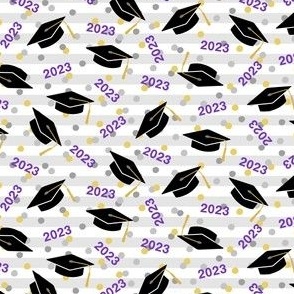 Tossed Graduation Caps with Purple 2023, Gold & Silver Confetti (Extra Small Size)