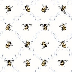 Bee my dance partner (plain background)