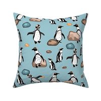 Penguins at Boulders Spoonflower-01