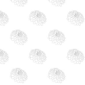 Black and white Zinnias botanical line art