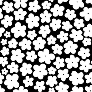 Daisy || White Daisies on Black || Daisy Age Collection by Sarah Price